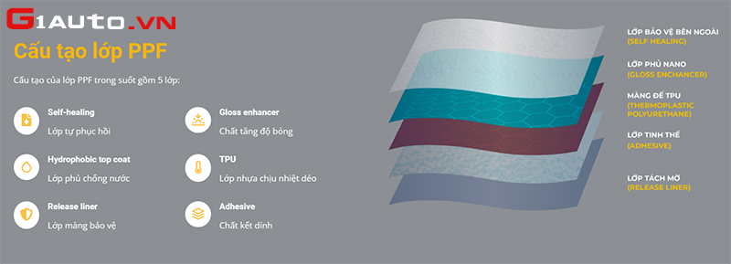 cấu tạo của Film PPF